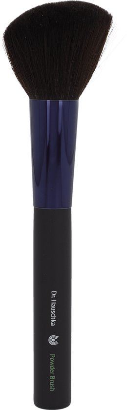 Dr  Hauschka Powder Brush Coarse And Angled Head  Soft Synthetic Bristles